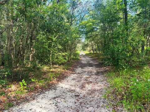 10187 N HOLYOAK TERRACE, DUNNELLON, FL 34433