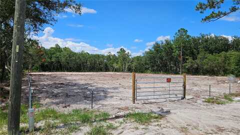 35391 OVERCUP DRIVE, WEBSTER, FL 33597