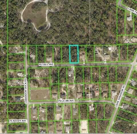 11455 PETREL AVE LOT 6, WEEKI WACHEE, FL 34614