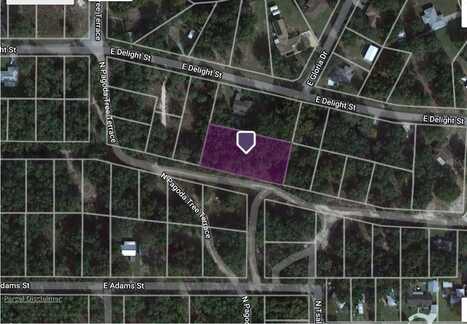 3917 E PEGGY STREET, HERNANDO, FL 34442