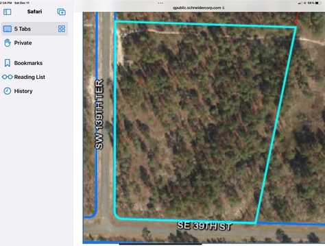 SE 139TH TERRACE, MORRISTON, FL 32668