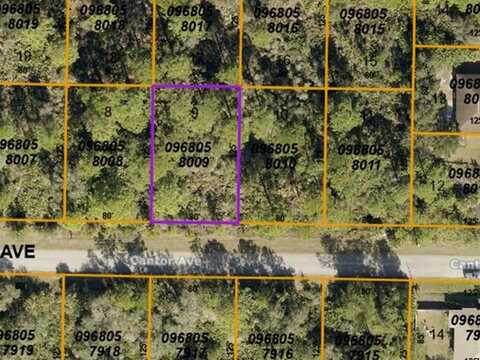 Lot 9 CANTOR AVENUE, NORTH PORT, FL 34291