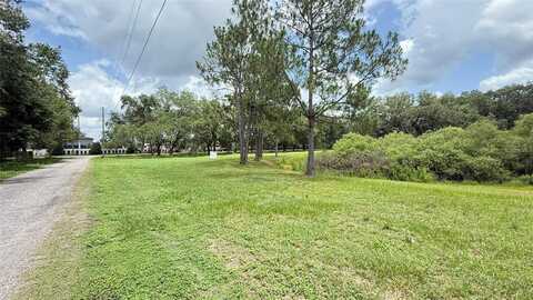 29956 NEW DUTCH LANE, WESLEY CHAPEL, FL 33545