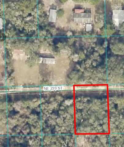 15380 NE 239TH STREET, FORT MC COY, FL 32134