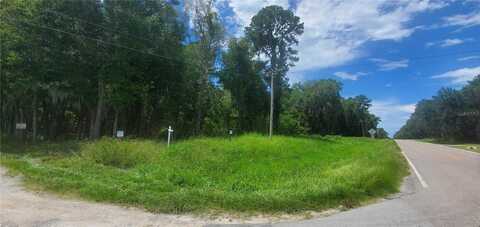 HIGHWAY, REDDICK, FL 32686