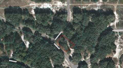 00 MAGNOLIA PASS COURSE, OCKLAWAHA, FL 32179