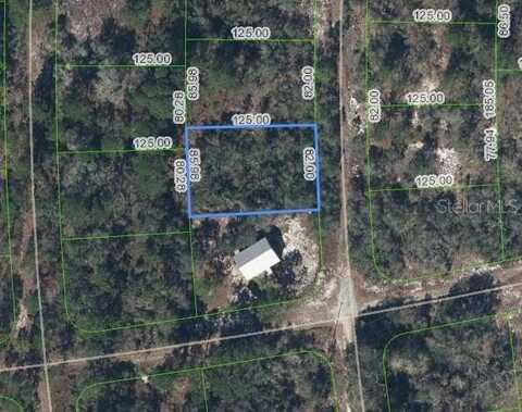 240 FASCINATION DRIVE, LAKE PLACID, FL 33852