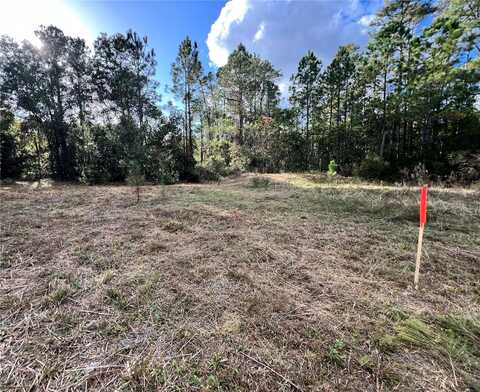 307 MALLARD ROAD, SATSUMA, FL 32189