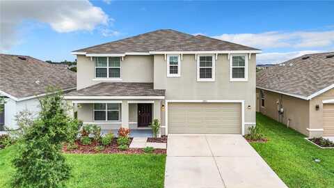 11923 DOWNY BIRCH DRIVE, RIVERVIEW, FL 33569