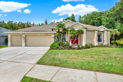 26249 SWORD DANCER DRIVE, WESLEY CHAPEL, FL 33544