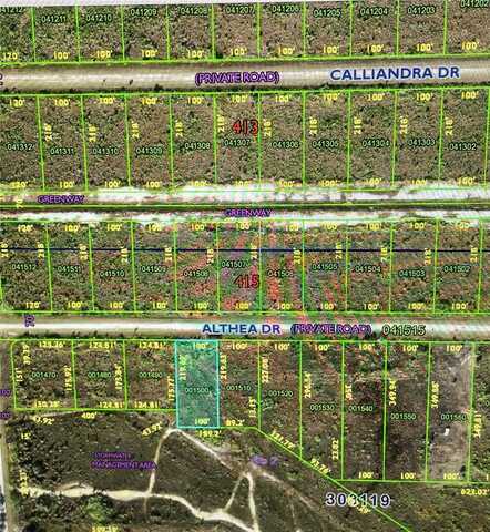 ALTHEA DRIVE, LAKE WALES, FL 33898