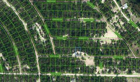 418 WIND ROSE AVENUE, LAKE PLACID, FL 33852