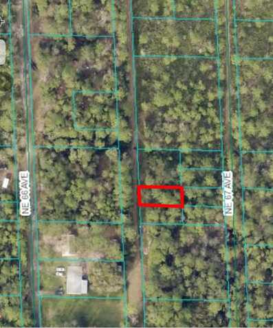 00 NE 66TH COURT, CITRA, FL 32113