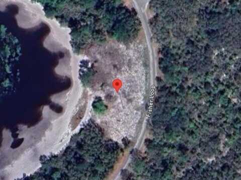 62 FISHER LOOP, OCKLAWAHA, FL 32179