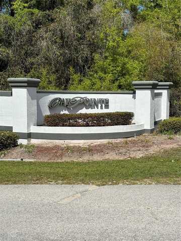 OAK POINTE DRIVE, LADY LAKE, FL 32159