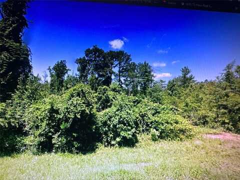 5591 BONNIE HILL ROAD, CHATTAHOOCHEE, FL 32324