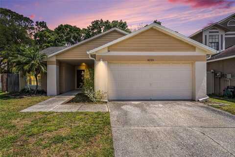 8725 HUNTFIELD STREET, TAMPA, FL 33635