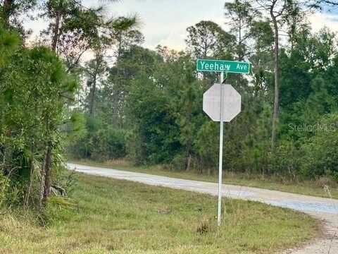 801 YEEHAW AVENUE, CLEWISTON, FL 33440