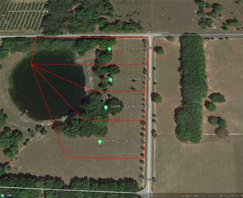 Tbd LAKE BURNS ROAD, UMATILLA, FL 32784