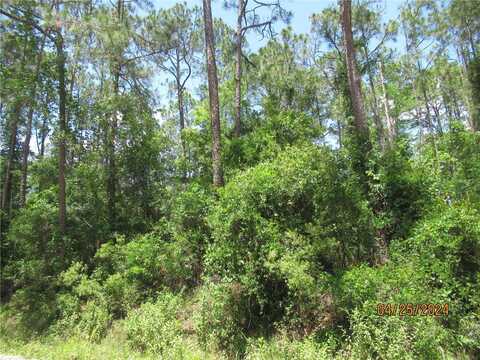 2098 COUNTY ROAD 305, BUNNELL, FL 32110