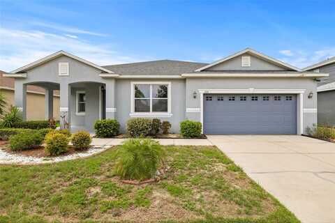 11114 HARTFORD FERN DRIVE, RIVERVIEW, FL 33569