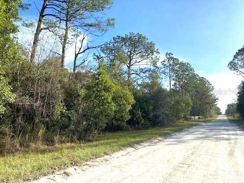 00 SE 25TH STREET, MORRISTON, FL 32668