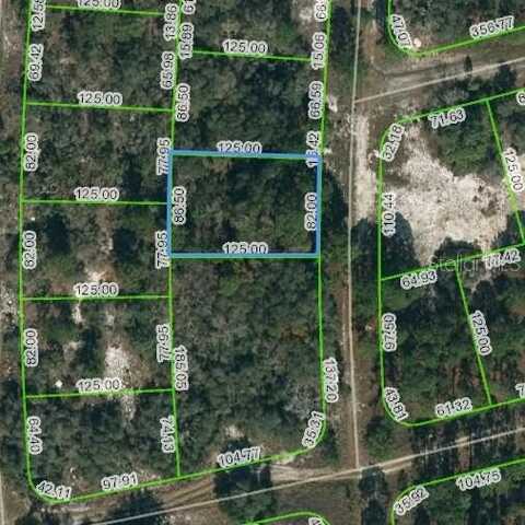 244 BLUE HORIZON DRIVE, LAKE PLACID, FL 33852