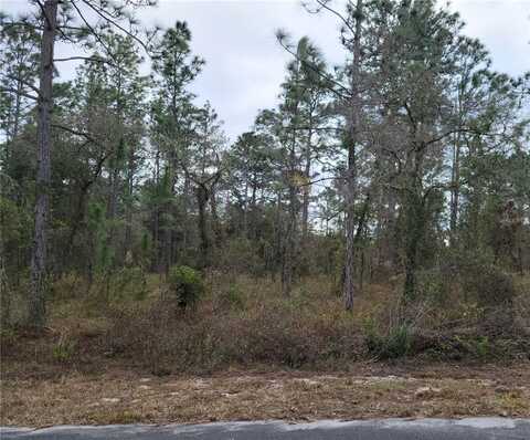 Lot 9 NW SHAMROCK AVENUE, DUNNELLON, FL 34431