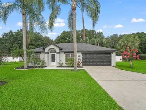 36947 SLICE LANE, GRAND ISLAND, FL 32735