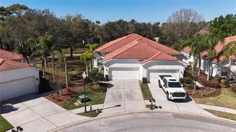 10263 DEVONSHIRE LAKE DRIVE, TAMPA, FL 33647