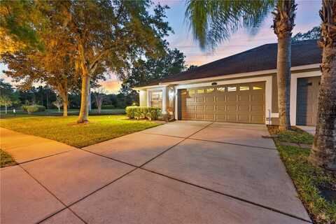 4201 ASHTON MEADOWS WAY, WESLEY CHAPEL, FL 33543