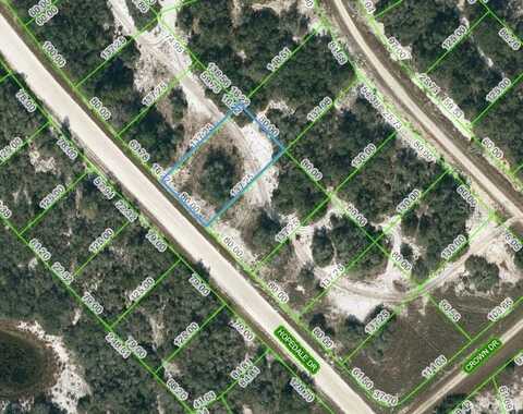 269 HOPEDALE DRIVE, LAKE PLACID, FL 33852