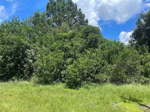 113 REDWOOD ROAD, ROTONDA WEST, FL 33947