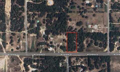 4849 W CARDINAL STREET, HOMOSASSA, FL 34446