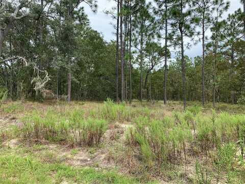 NW RIDGEWOOD ROAD, DUNNELLON, FL 34431