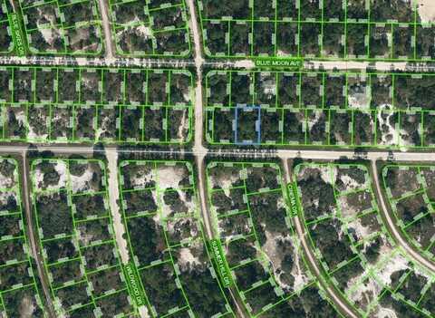 384 JACK WEISSER BOULEVARD, LAKE PLACID, FL 33852