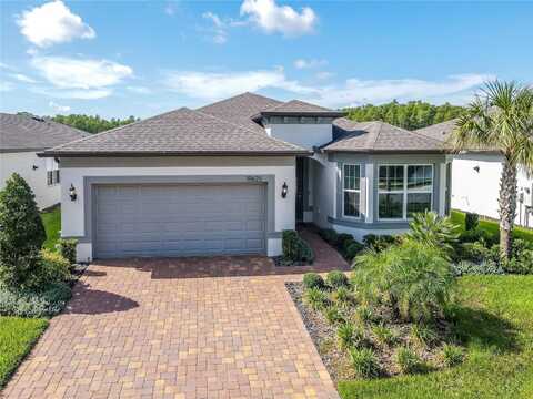 19625 SHIP WHEEL WAY, LAND O LAKES, FL 34638