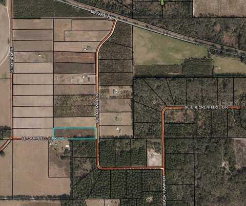 SE BALDWIN DRIVE, LEE, FL 32059