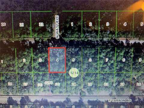 1606 E BADGER DR, CITRUS SPRINGS, FL 34434