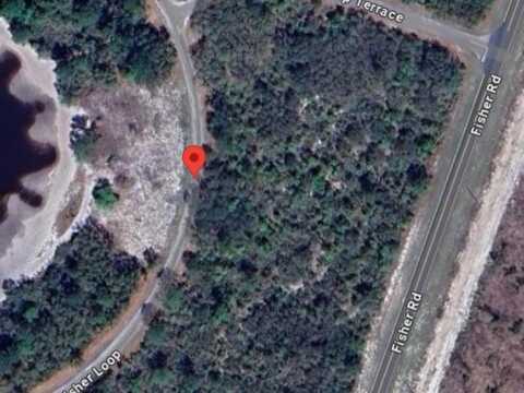 66 FISHER LOOP, OCKLAWAHA, FL 32179