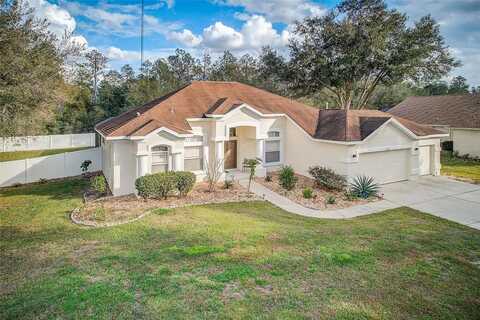 14266 CREEK RUN DRIVE, RIVERVIEW, FL 33579