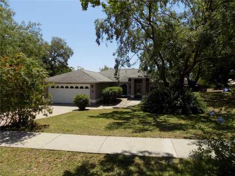 36709 SANDY LANE, GRAND ISLAND, FL 32735