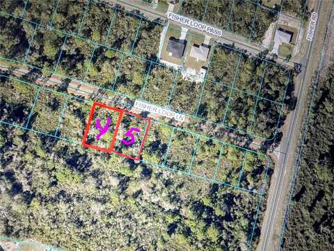 Tbd FISHER LOOP LANE, OCKLAWAHA, FL 32179