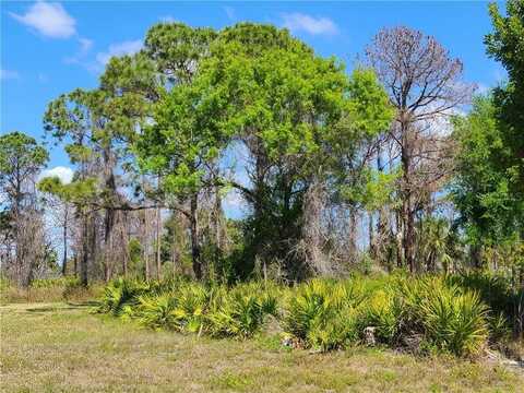 46 HARNESS ROAD, PLACIDA, FL 33946