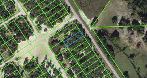 1021 Cr 29, LAKE PLACID, FL 33852