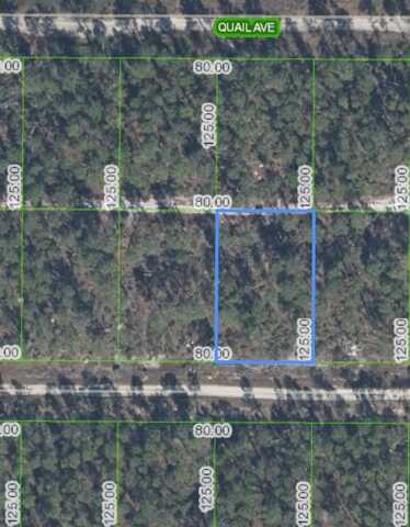 460 HUMMINGBIRD AVENUE, SEBRING, FL 33872