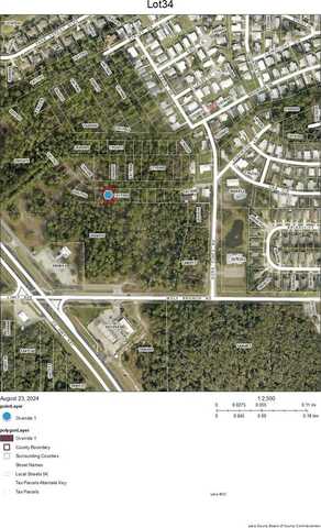 Lot 34 WOLF BRANCH ROAD, MOUNT DORA, FL 32757