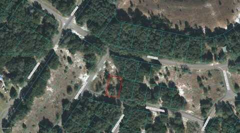 00 GUAVA TERRACE TRAIL, OCKLAWAHA, FL 32179