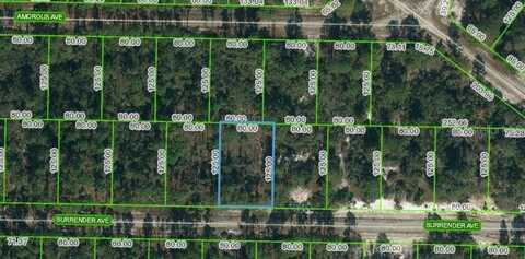 420 SURRENDER AVENUE, LAKE PLACID, FL 33852