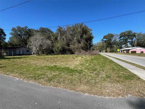 449 STONE STREET, WILDWOOD, FL 34785